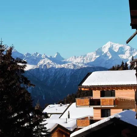 Baergblueemli 1- Og Ost By Interhome Lägenhet Bettmeralp
