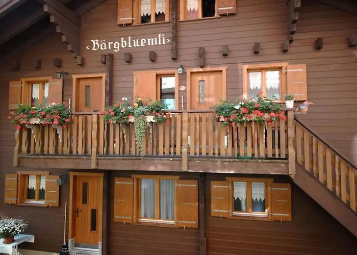 Lägenhet Baergblueemli 1- Og Ost By Interhome *