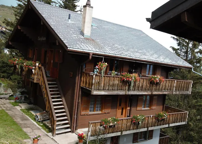 Baergblueemli 1- Og Ost By Interhome Lägenhet Bettmeralp