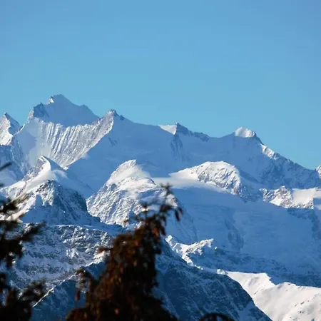 Baergblueemli 1- Og Ost By Interhome Appartement