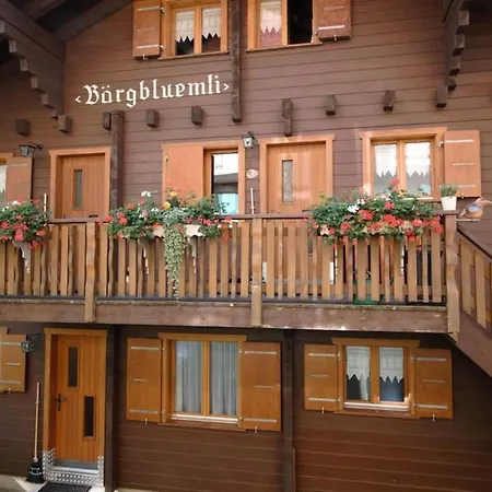 Appartement Baergblueemli 1- Og Ost By Interhome *